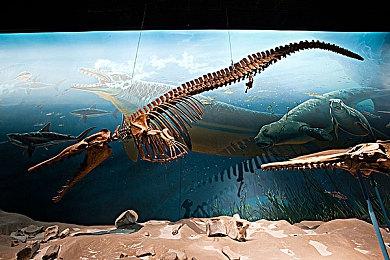 《自杀小队：消灭正义联盟》PC版移除了D加密