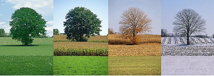 港日服Switch会员新免费试玩游戏：《夜勤人》